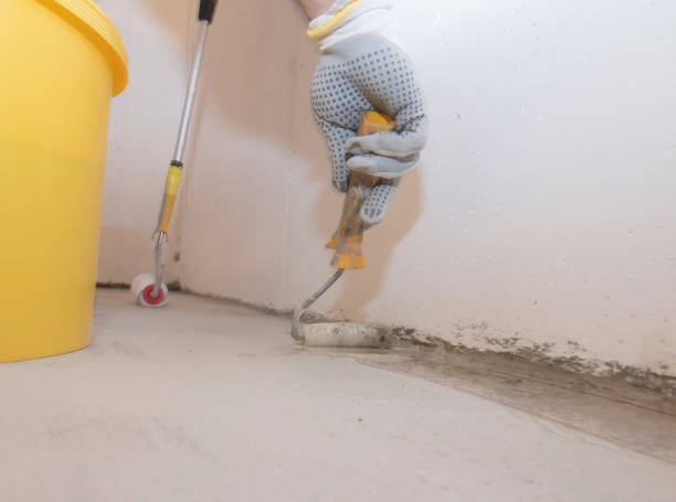 Best Fumigation Services  in Shady Hills, FL